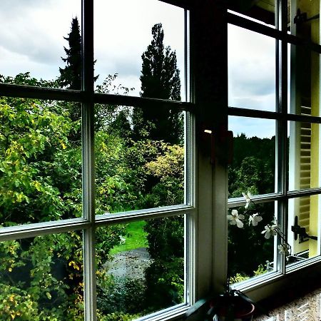 Weingut Und Hotel Haus Am Drachenloch Bad Honnef ภายนอก รูปภาพ