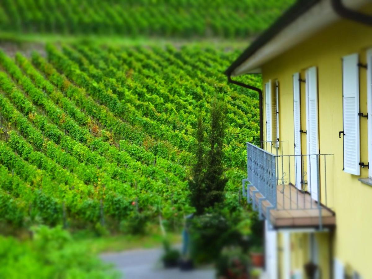 Weingut Und Hotel Haus Am Drachenloch Bad Honnef ภายนอก รูปภาพ