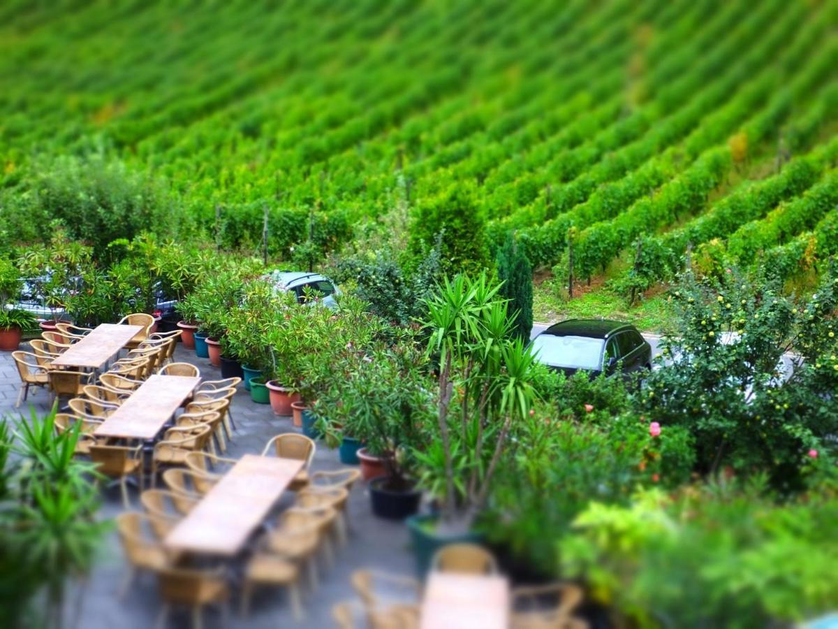 Weingut Und Hotel Haus Am Drachenloch Bad Honnef ห้อง รูปภาพ