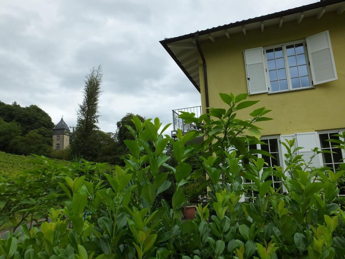 Weingut Und Hotel Haus Am Drachenloch Bad Honnef ภายนอก รูปภาพ